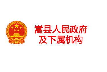 嵩縣人民政府及下屬機構